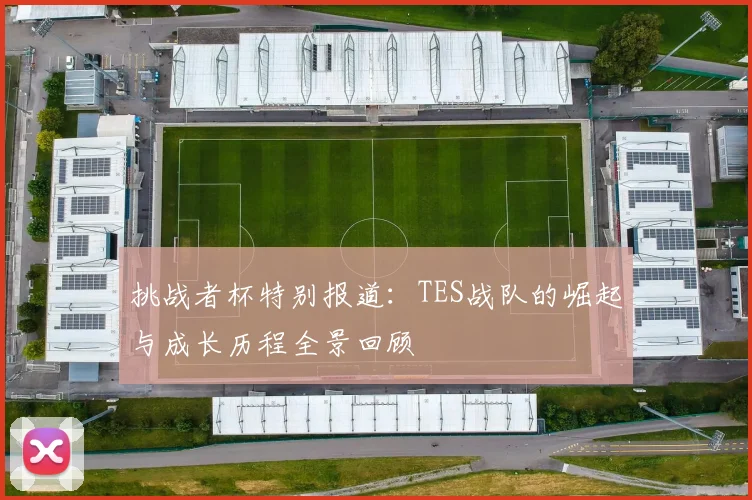 挑战者杯特别报道：TES战队的崛起与成长历程全景回顾